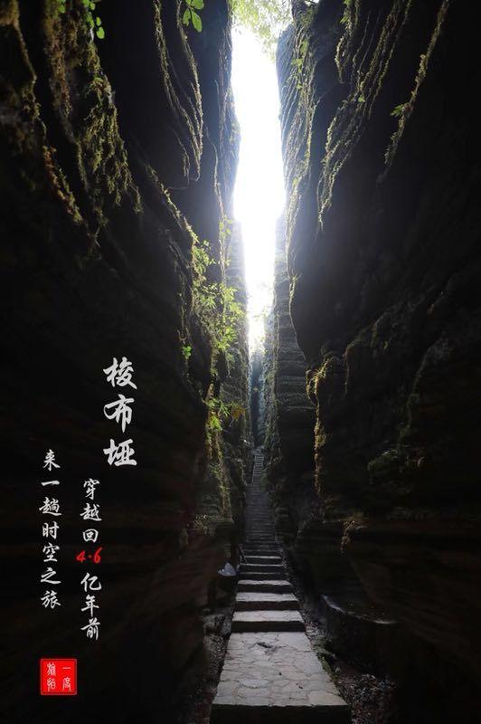 “和珅跌倒，嘉庆吃饱”，这句话是什么意思？