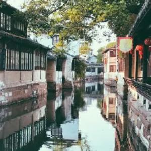 海蜇有什么作用？游戏画面